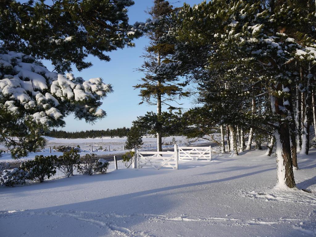 Dava School House Bed & Breakfast Grantown-on-Spey Eksteriør bilde